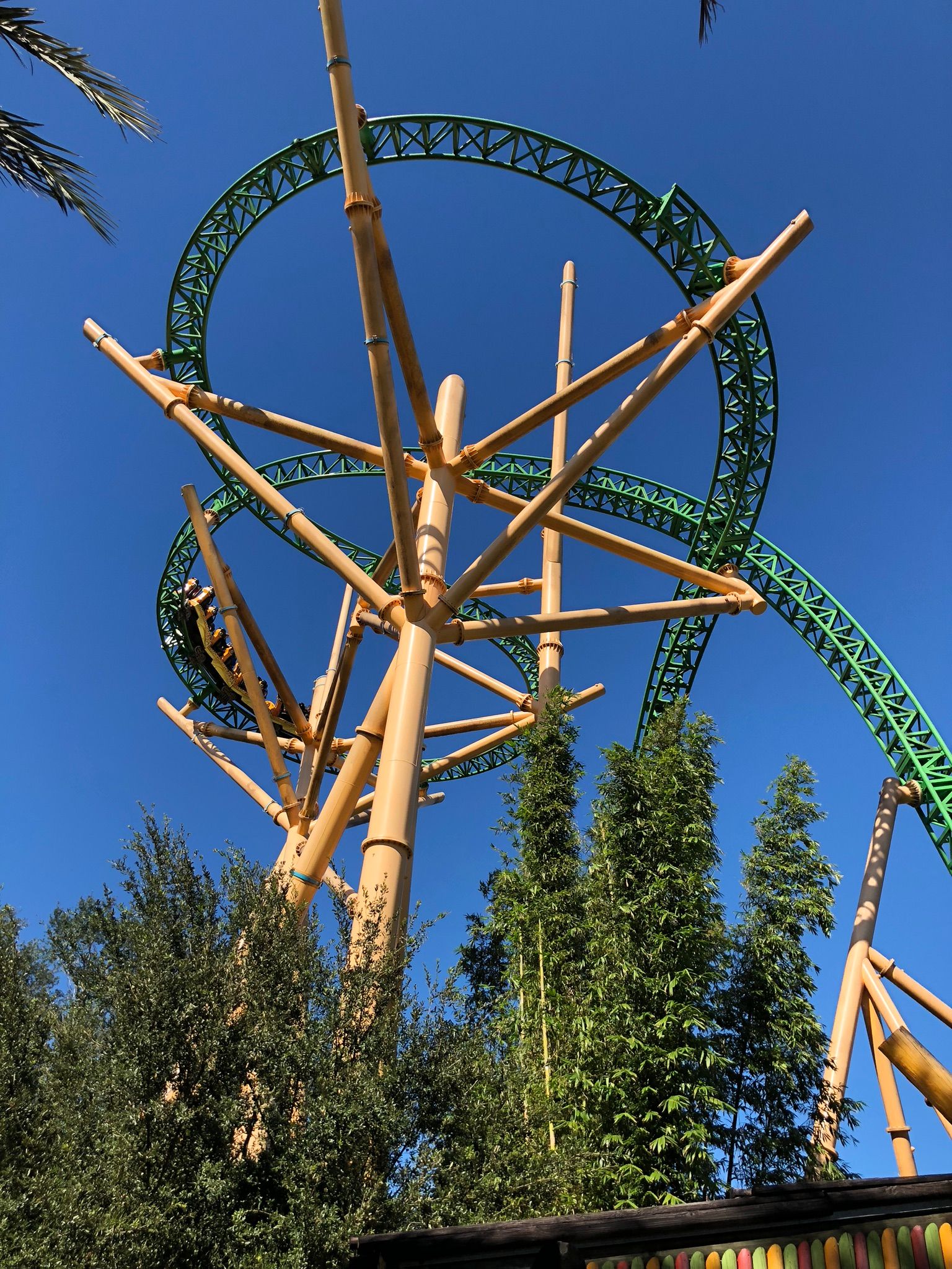 Busch Gardens 2019: adrenalina pura!