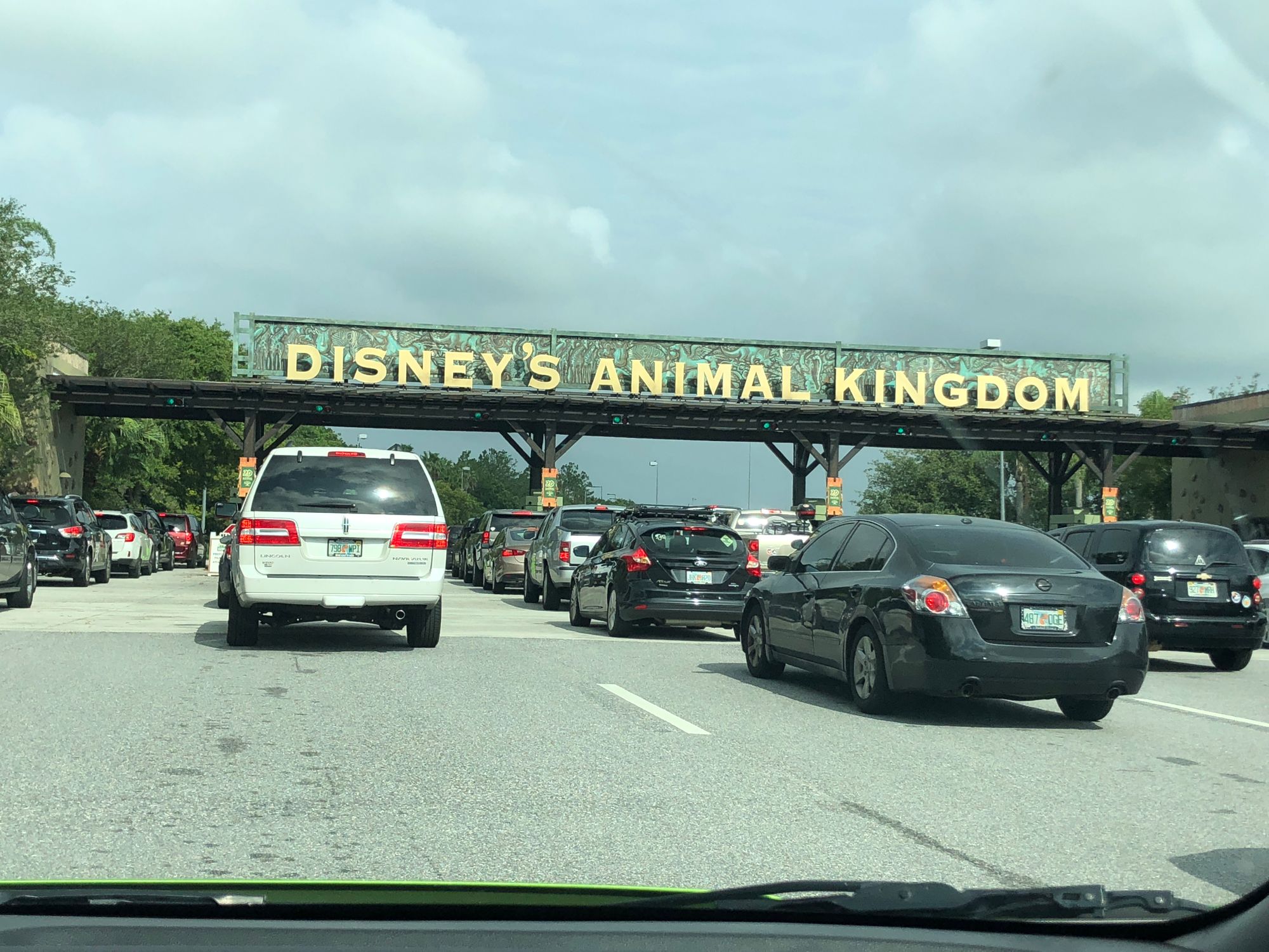 Conheça o Animal Kingdom!